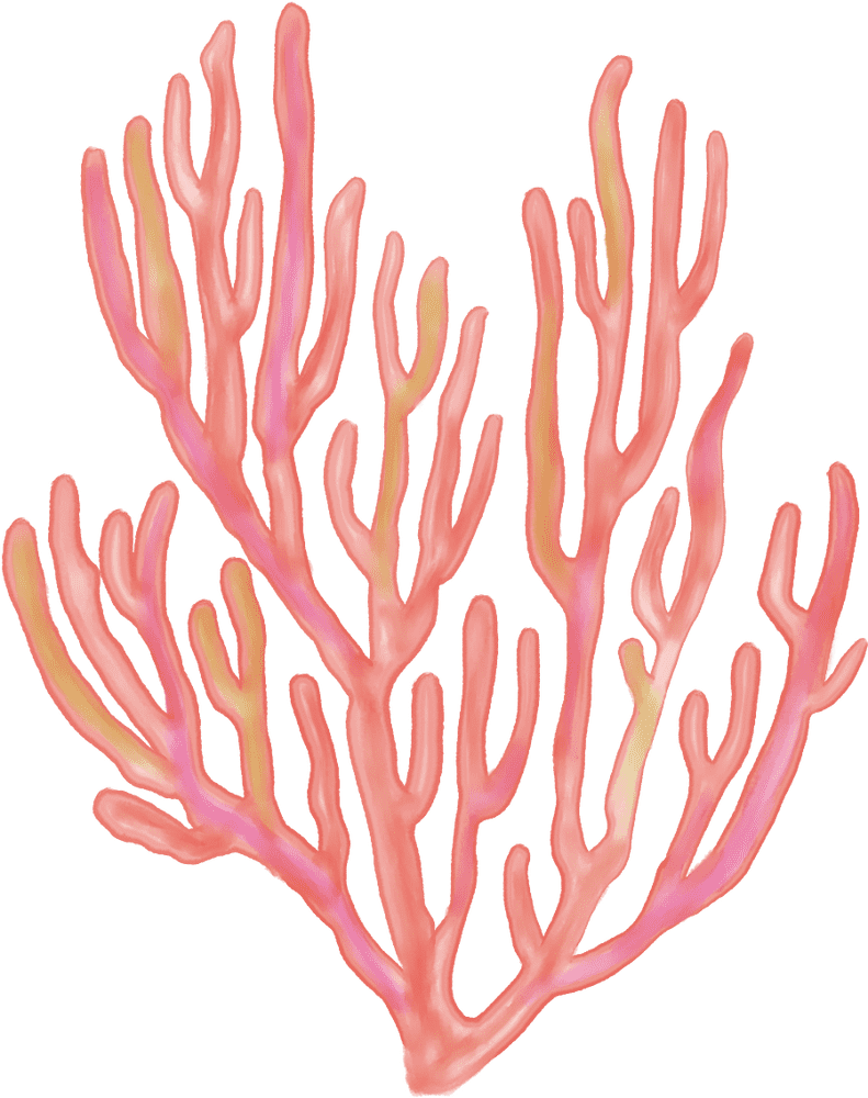 Coral Reef Symphony of Colors PNG