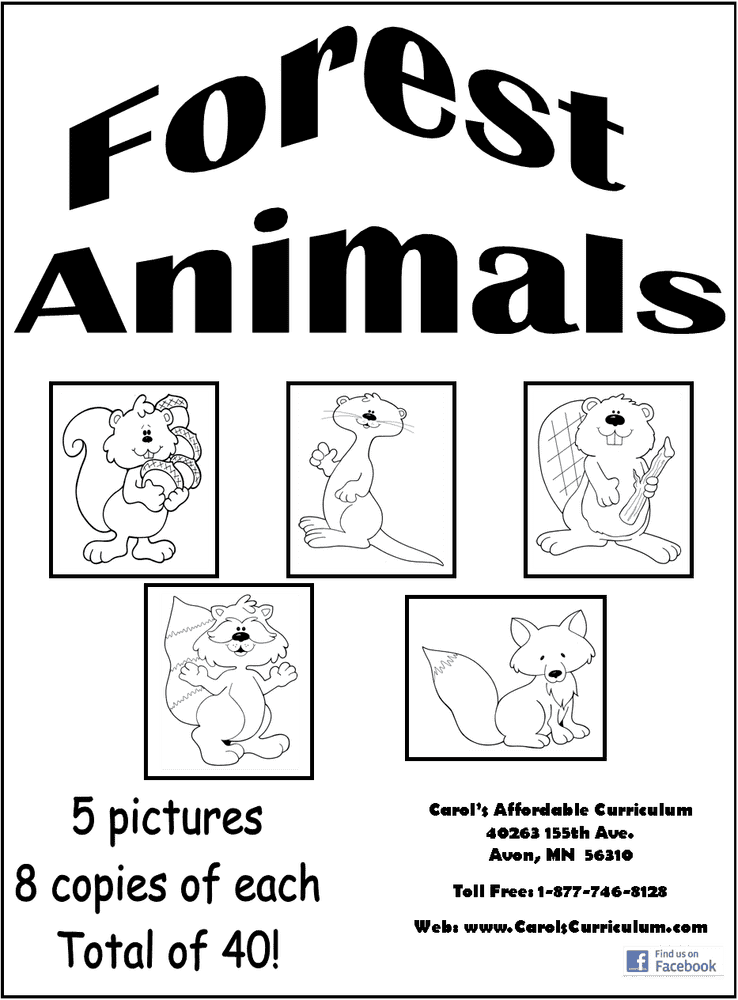 Playful Creatures of Ecology PNG