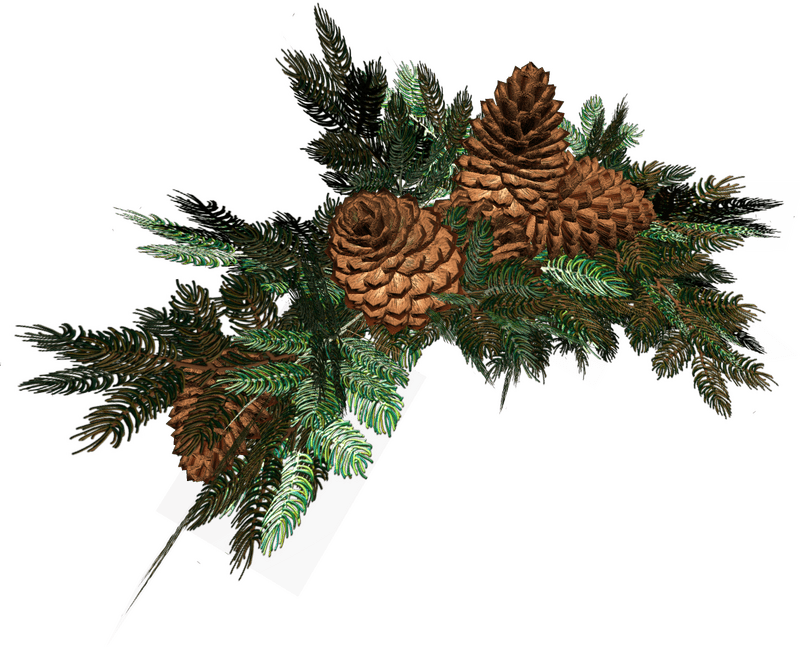 Christmas Pinecone and Fern Arrangement PNG