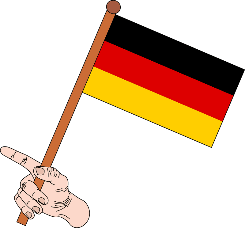 Vibrant Party Flag Held High PNG