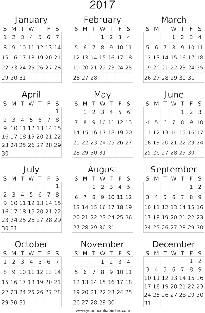 2017 Yearly Calendar Overview PNG