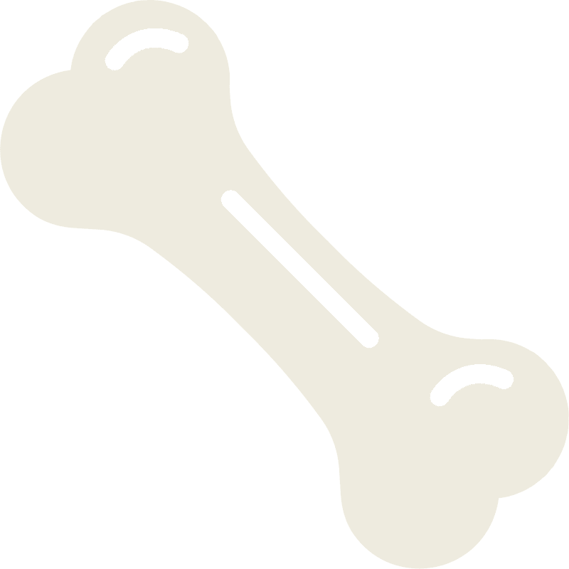 Chewy Delight The Perfect Bone Treat PNG