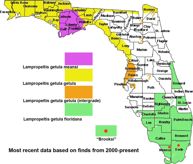 USA Map Highlighting Florida's Species Distribution PNG