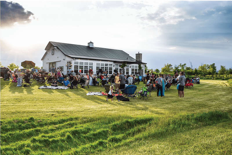 Community Gathering on Lush Green Grass PNG