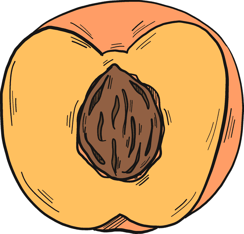 Peach Blossom Serenity in Every Slice PNG