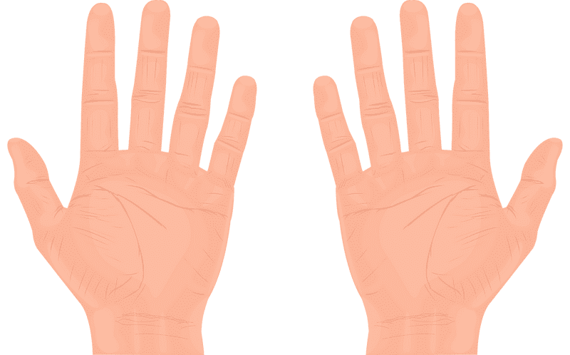 Open Hands of Connection and Expression PNG