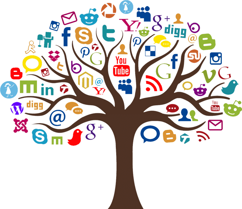 Digital Market Tree Connecting Social Media Channels PNG