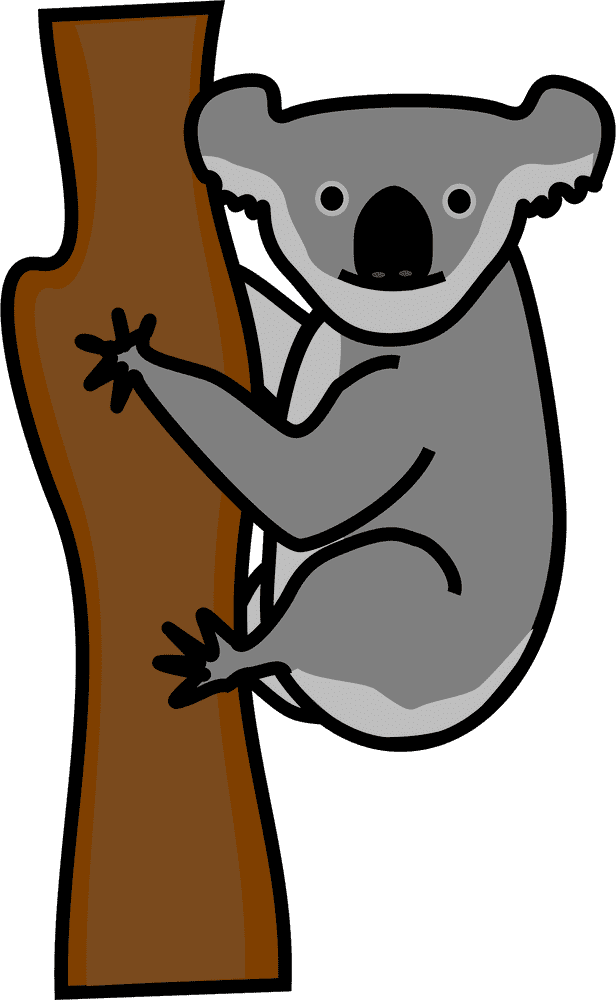 Adventurous Koala Bear Climbing a Tree PNG