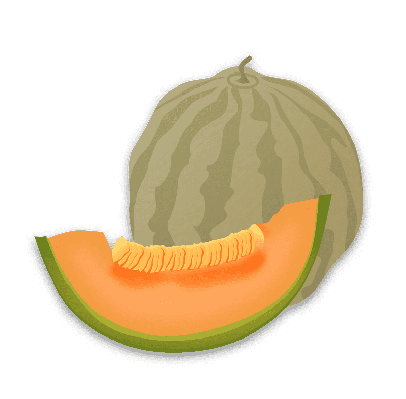 Juicy Melon Slice Delight PNG