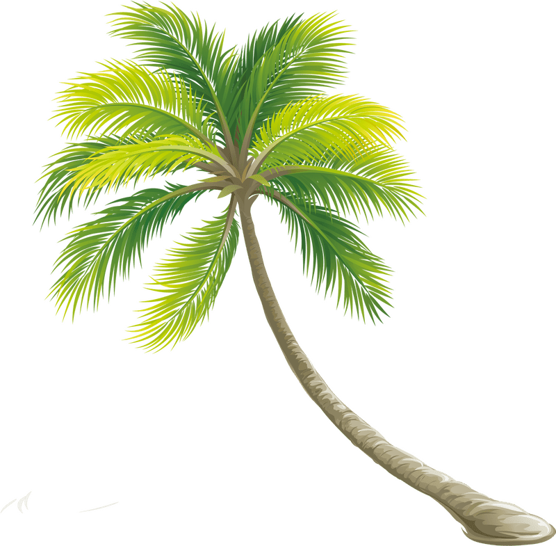 Swaying Tropical Paradise Tree PNG