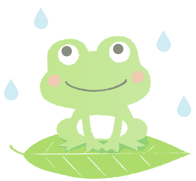 Happy Frog with Rain Boots on a Leaf PNG