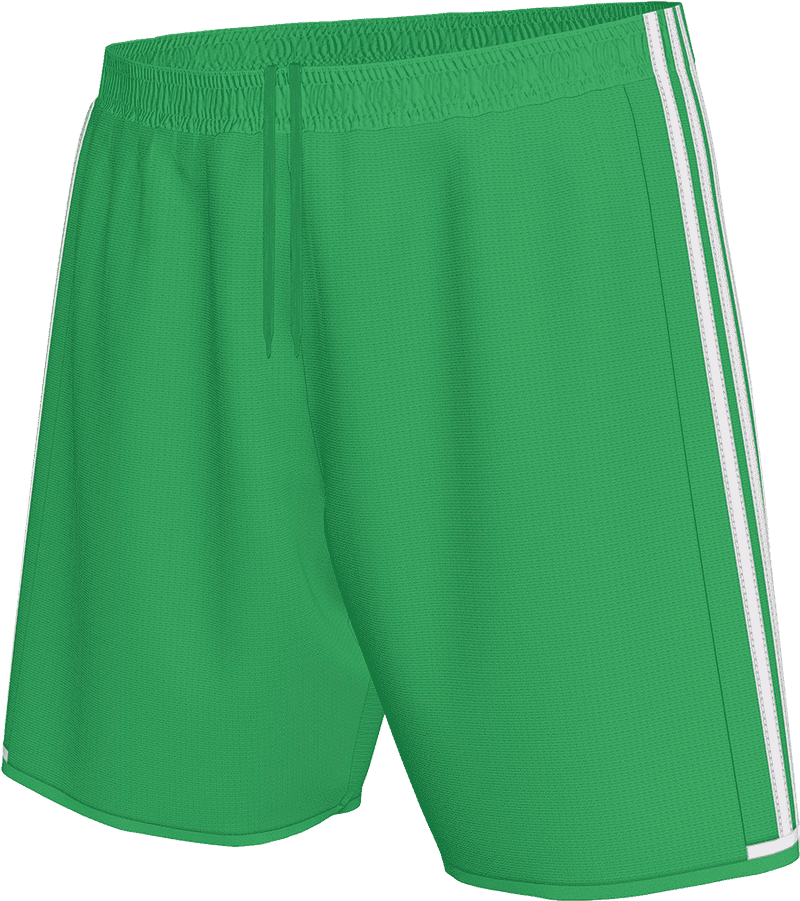 Dynamic Energy Shorts for Active Lifestyles PNG