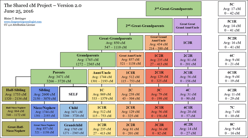 DNA Relationship Chart Understanding Ancestry Connections PNG