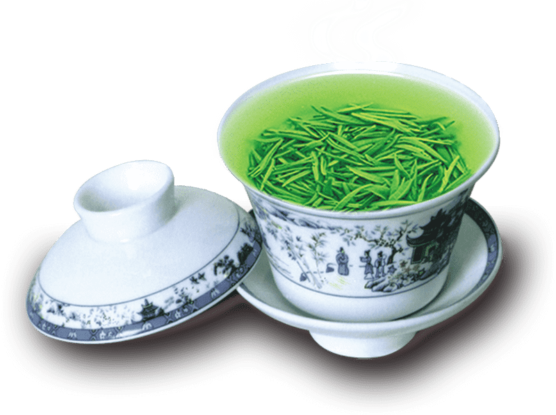 Delicate Tea Cup of Fresh Green Tea PNG