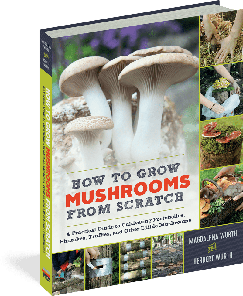 Mastering Mushroom Cultivation from Scratch PNG