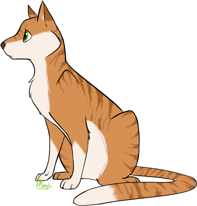 Whiskered Guardian The Elegant Cat Explorer PNG
