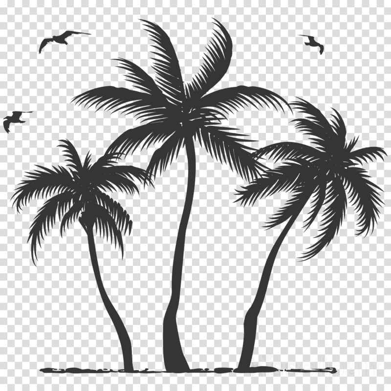 Tropical Paradise with Palm Trees PNG