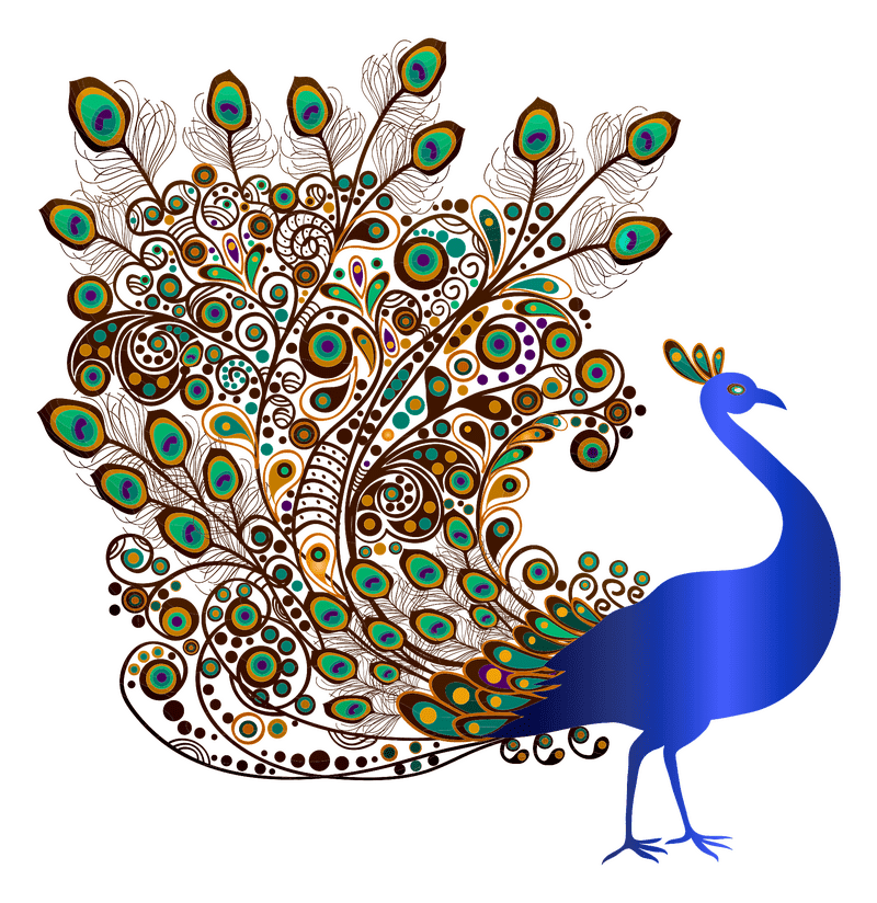 Whimsical Peacock Display of Colors PNG