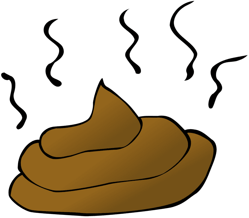 Poop Pile of Stinky Surprise PNG