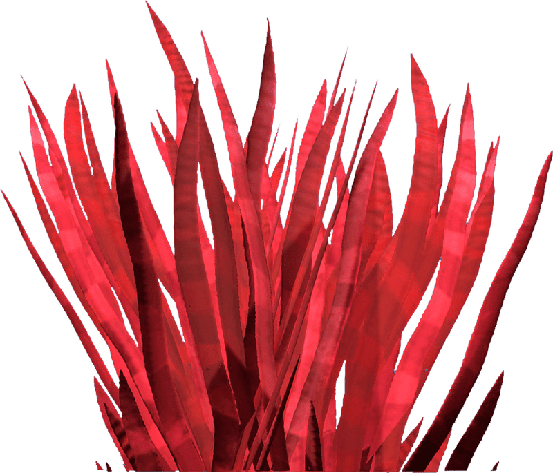 Vibrant Red Grass of Imagination PNG