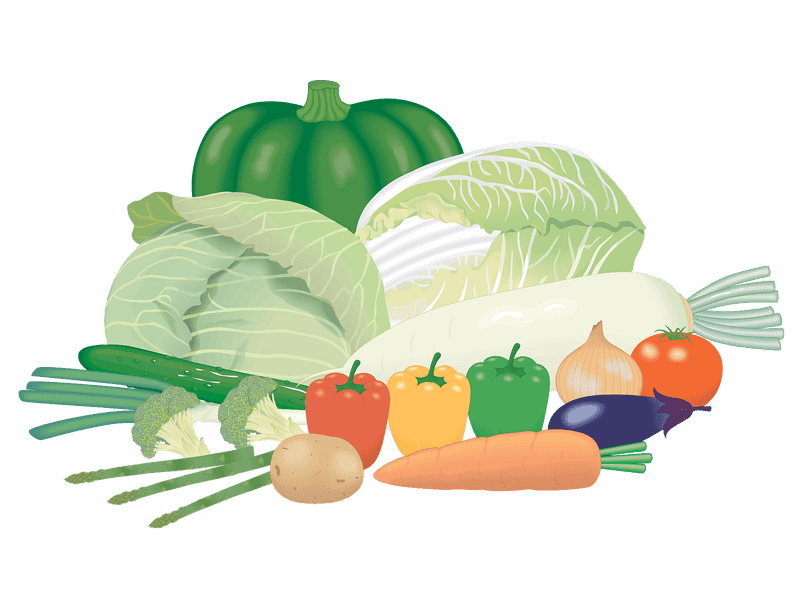 Vibrant Vegetable Garden Harvest Display PNG