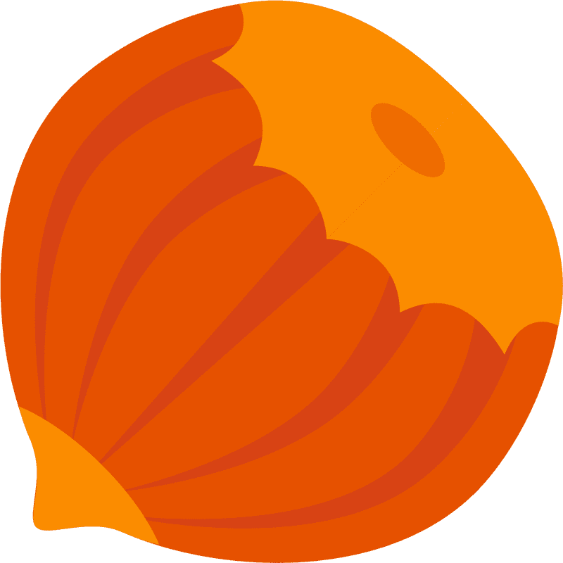 Vibrant Hazelnut Delight in Bright Orange PNG