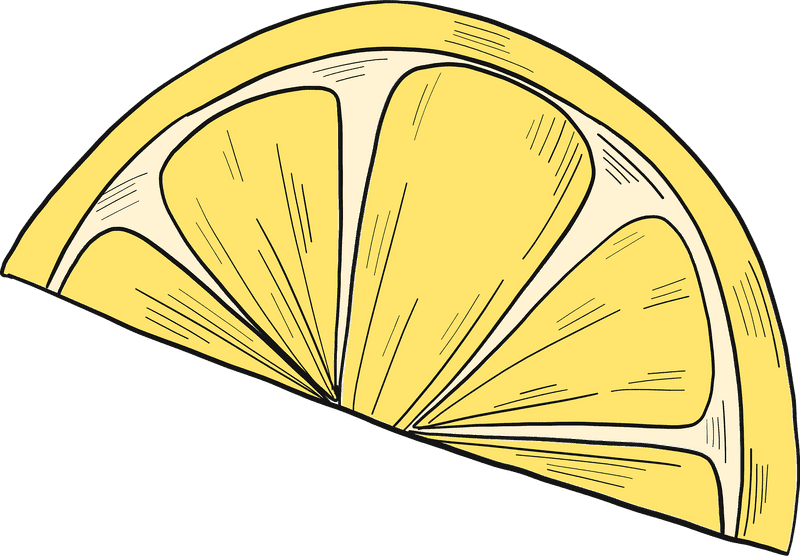 Vibrant Citrus Slice of Sunshine PNG