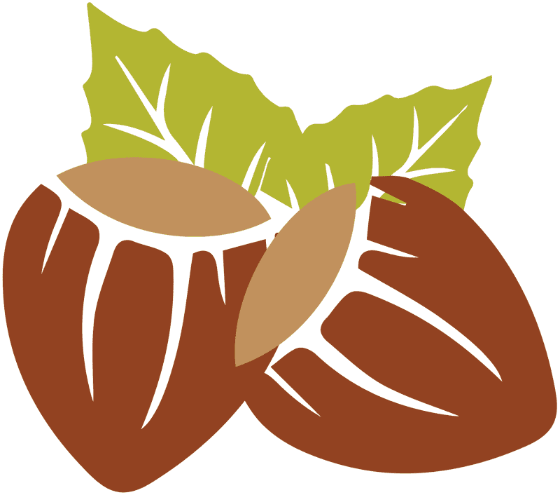 Hazelnut Delight with Leafy Accompaniments PNG