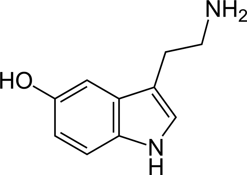 Dynamic Interactions of Molecule Structures PNG