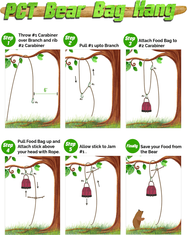 Teacher's Guide to Bear Bag Hanging Safety PNG