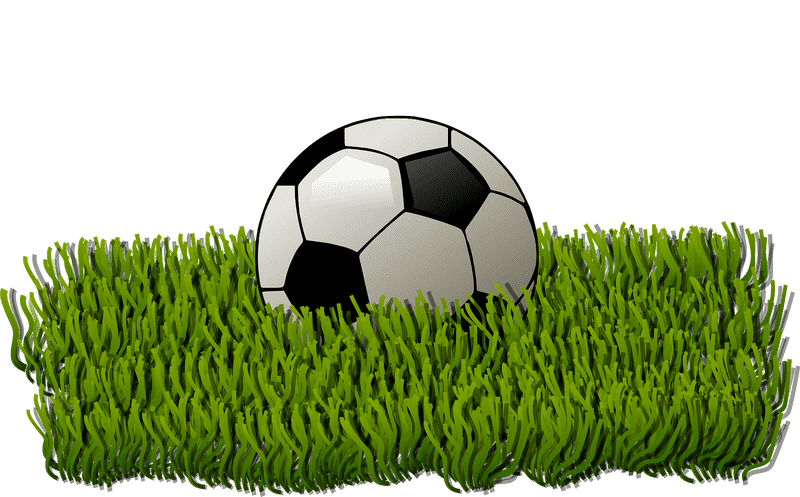 Soccer Ball on Lush Green Grass PNG