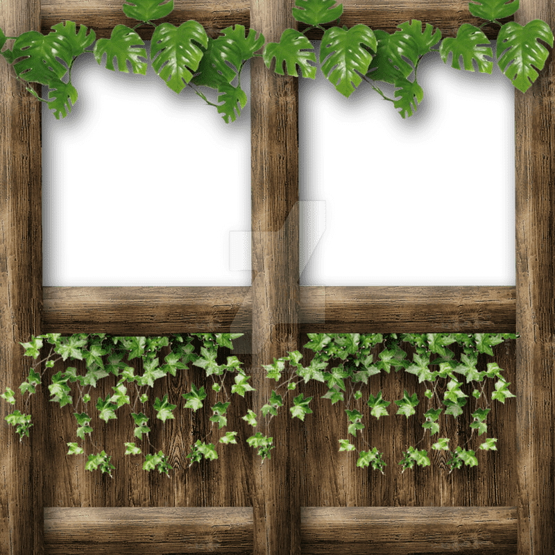 Ivy Leaf Embrace in Rustic Charm PNG