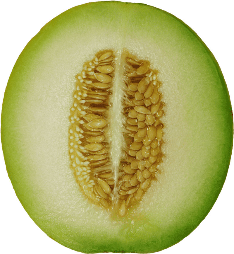 Refreshing Green Melon Slice Delight PNG