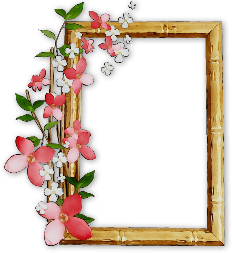 Charming Floral Picture Frame Design PNG