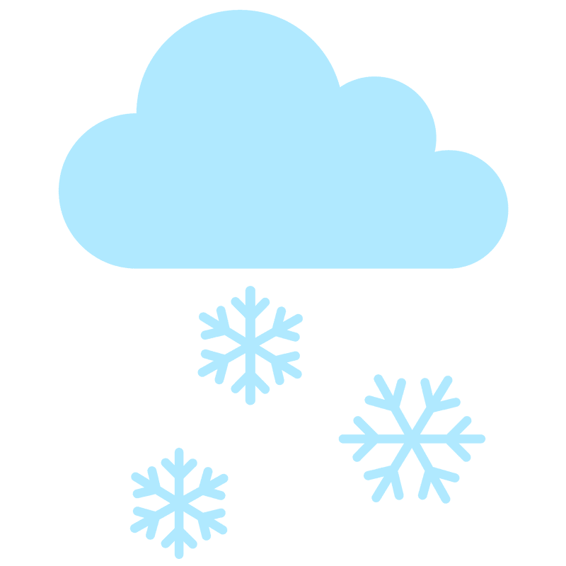 Whispers of Snowfall Beneath a Cloudy Sky PNG