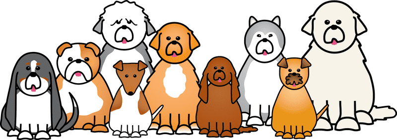 Colorful Collection of Pet Stuff for Dogs PNG