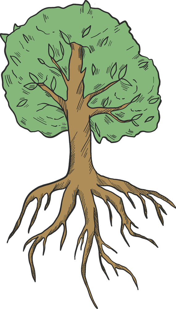 Ginger Root Tree Nature's Healing Essence PNG