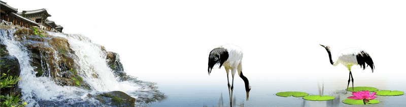 Building Crane by the Tranquil Waterscape PNG