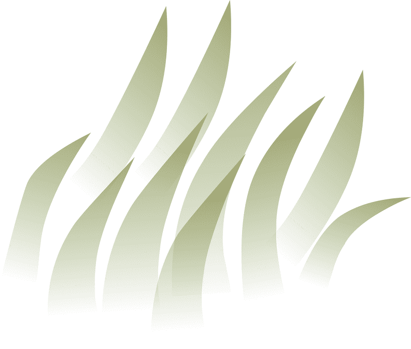 Whimsical Waves of Green Grass PNG