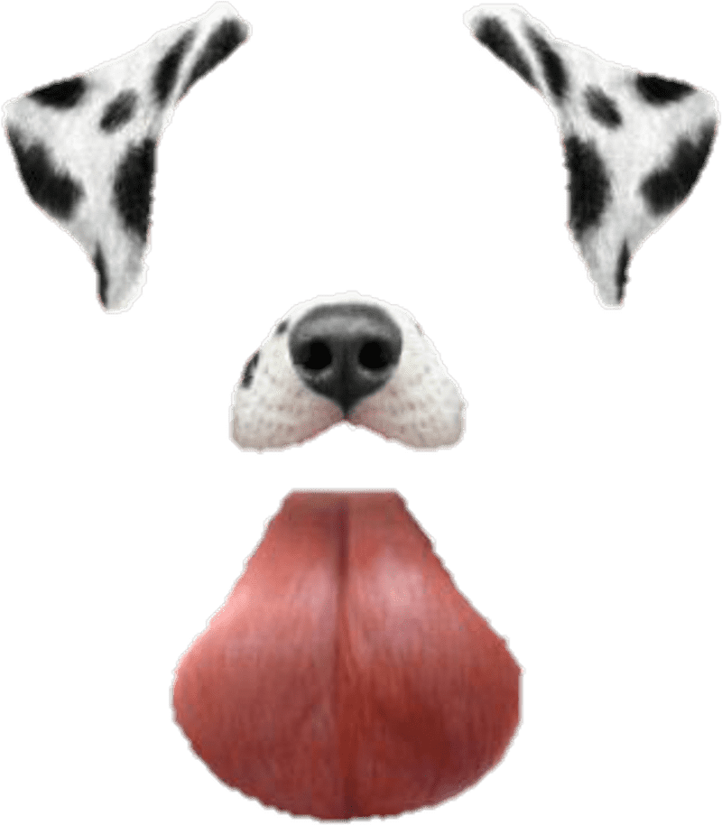 Playful Dog with Charming Spots PNG