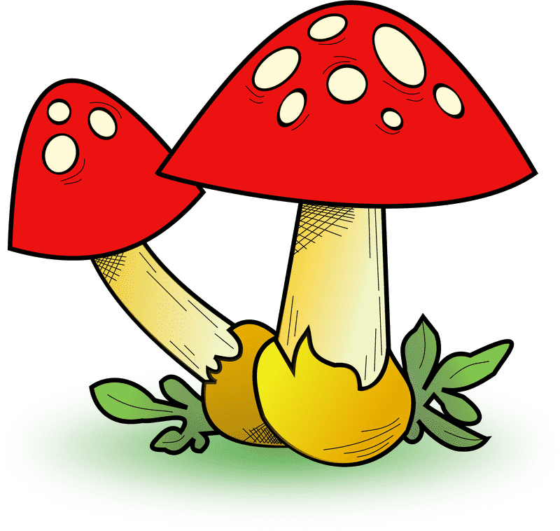 Whimsical Forest Fungi Delight PNG
