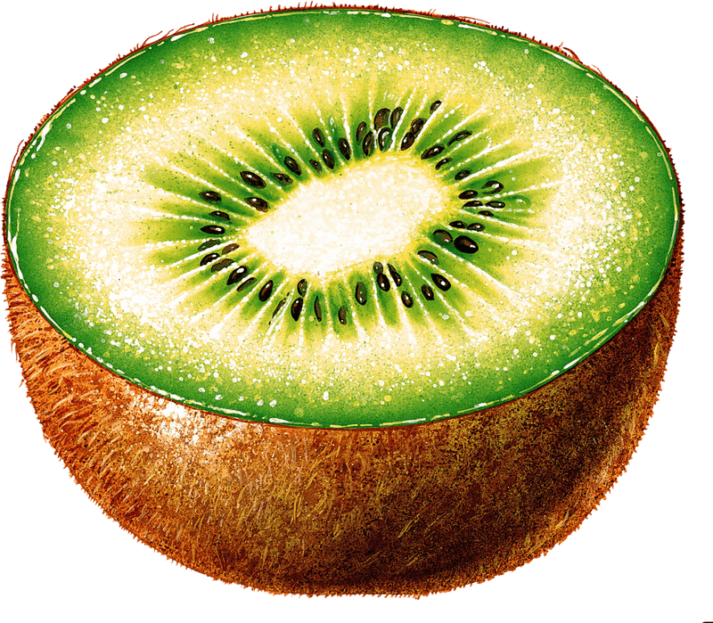 Deliciously Refreshing Kiwi Fruit Delight PNG