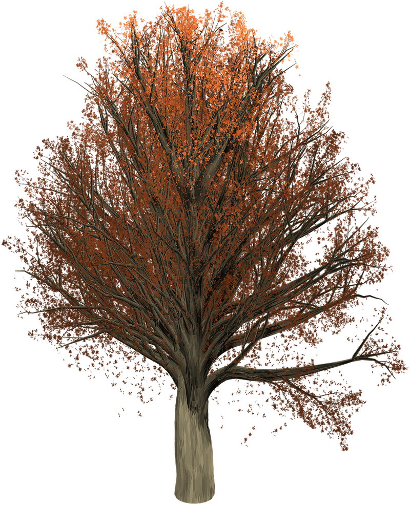 Autumn's Golden Tree of Life PNG