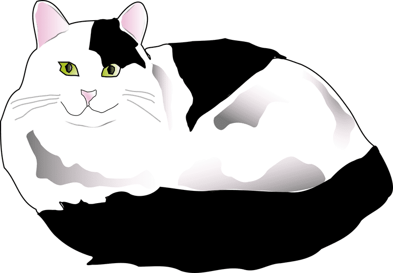 Mystical Cat of the Enchanted Night PNG