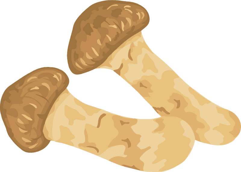 Deliciously Creamy Mushroom Soup Delight PNG