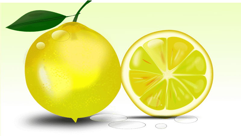 Zesty Lemon Tart Delight PNG