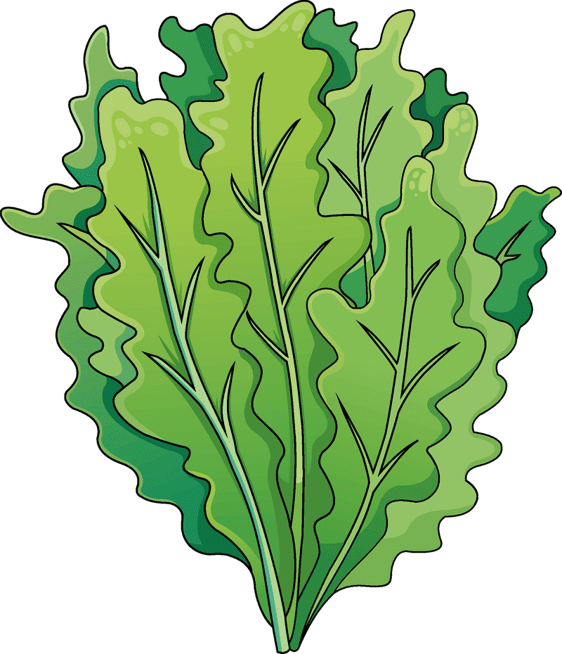 Vibrant Quinoa Salad with Fresh Greens PNG