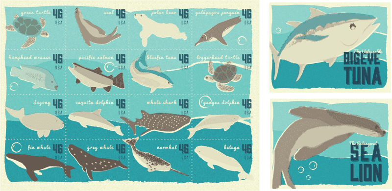 Underwater Wonders Postcard Collection PNG