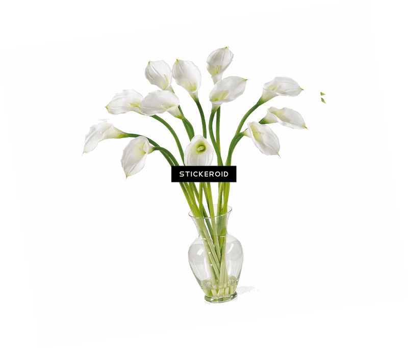 Elegant White Flower Arrangement in a Vase PNG
