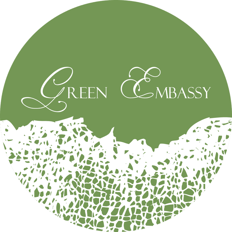 Green Embassy Night Market Delights PNG